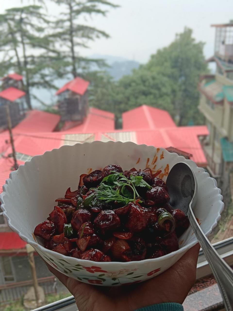 Hotel Jakhu Heights Shimla Exterior photo