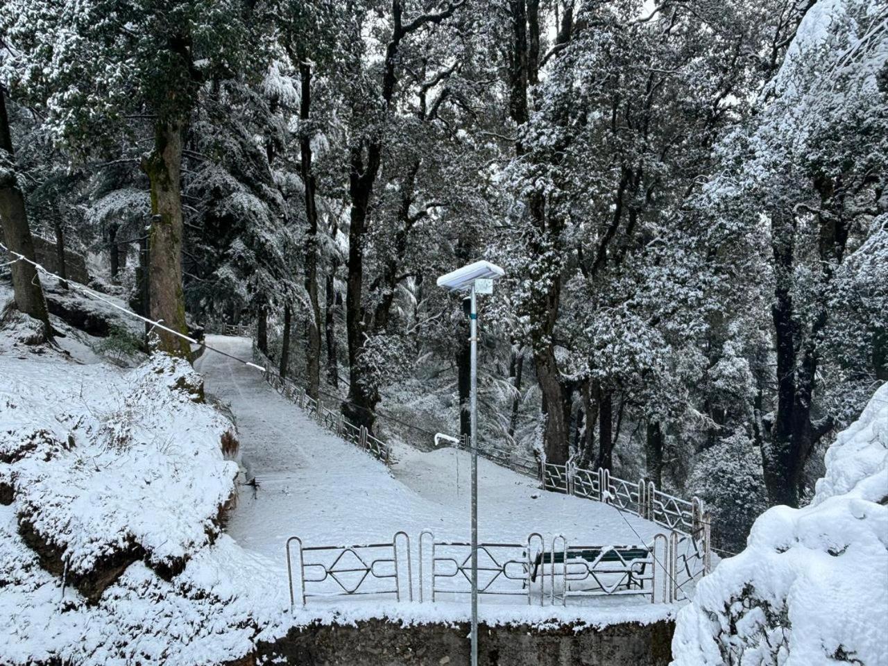 Hotel Jakhu Heights Shimla Exterior photo