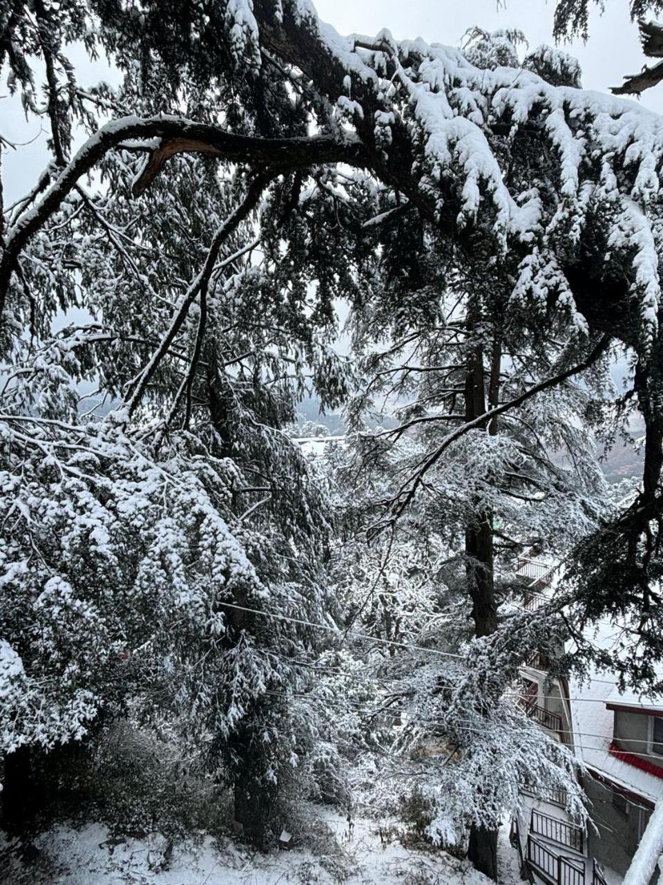 Hotel Jakhu Heights Shimla Exterior photo